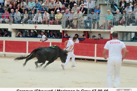 04_caraque-chauvet_marignan-2