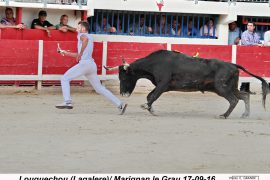 06_louguechou-lagallere_marignan_3