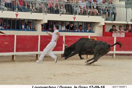 07_louguechou-lagallere_dunan_2