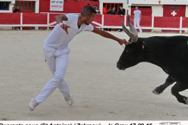 09_quarantesous-st-antoine_zekraoui_2