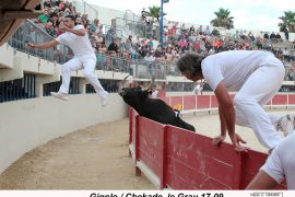 10gigolo-r-michel_chekade_1