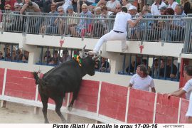 13_pirate-blat_auzolle_2