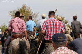 abrivado-gallician-(06)
