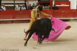 06_corrida-005