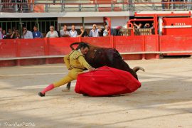 07_corrida-007