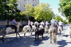 01_Abrivado_Av_de_la_Costière