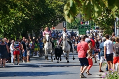 02_Abrivado_Av_de_la_Costière