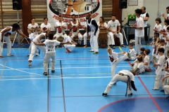 05_capoeira