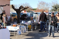 08_Dégustation_cave