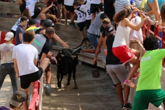 24_08-vache-02