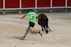24_08-vache-03