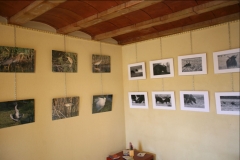 Vistre_expo-photos-JPT-1