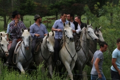 abrivado_12_05-03