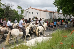 abrivado_12_05-09