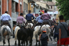 Bandido-12_05-05