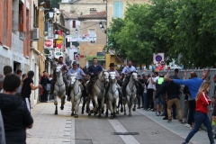 Bandido-12_05-06
