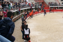 Vachette_12_05-01