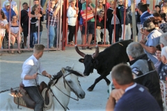 Bandido manade Cayzac