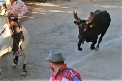 Bandido manade Cayzac