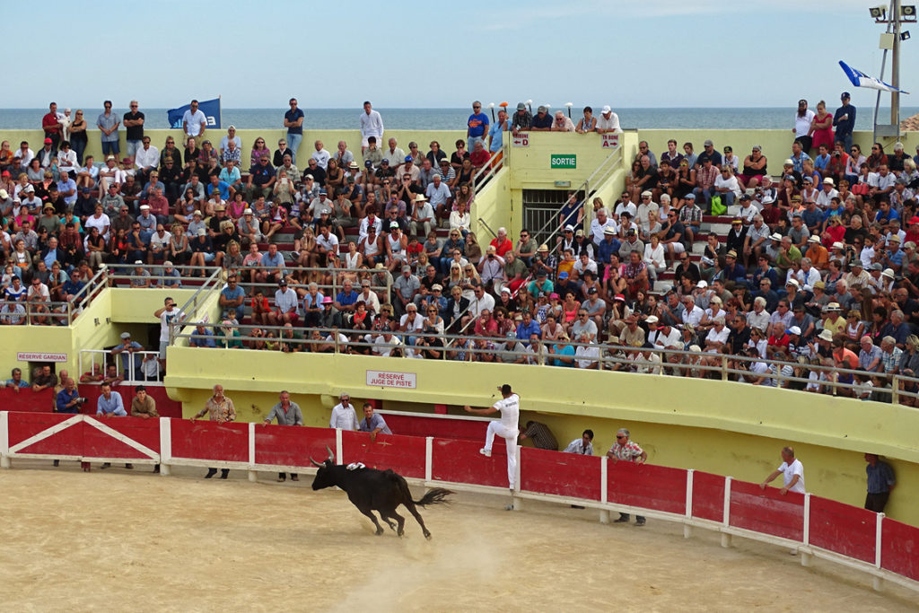 Les Saintes-Maries de la Mer : Le Tridbull entre en piste | V  Petite ...